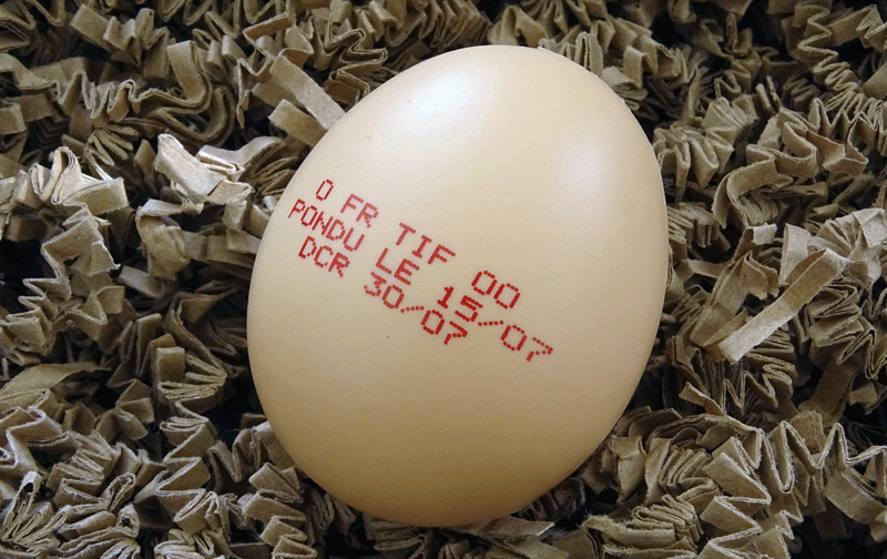 Hitachi UX-D Standard printer - 03